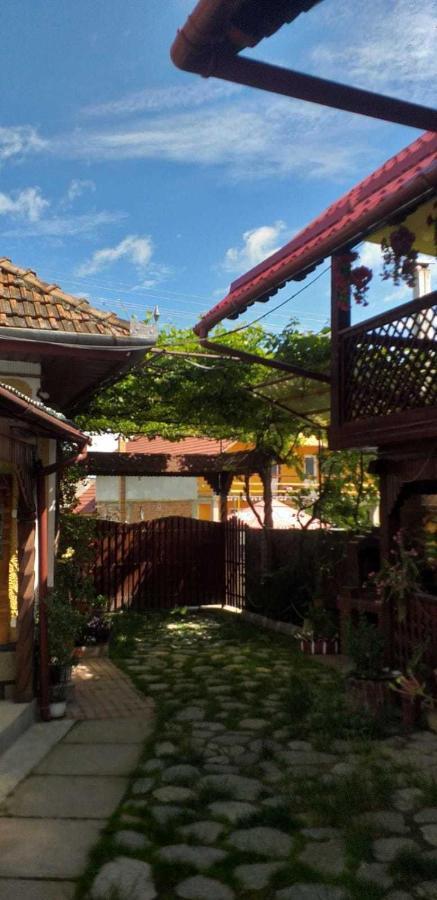 Willa Casa Boierului Imbri Cîrţişoara Zewnętrze zdjęcie