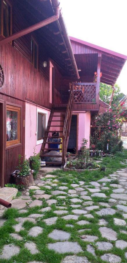 Willa Casa Boierului Imbri Cîrţişoara Zewnętrze zdjęcie