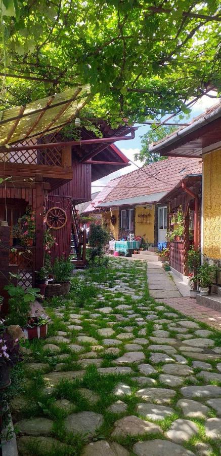 Willa Casa Boierului Imbri Cîrţişoara Zewnętrze zdjęcie